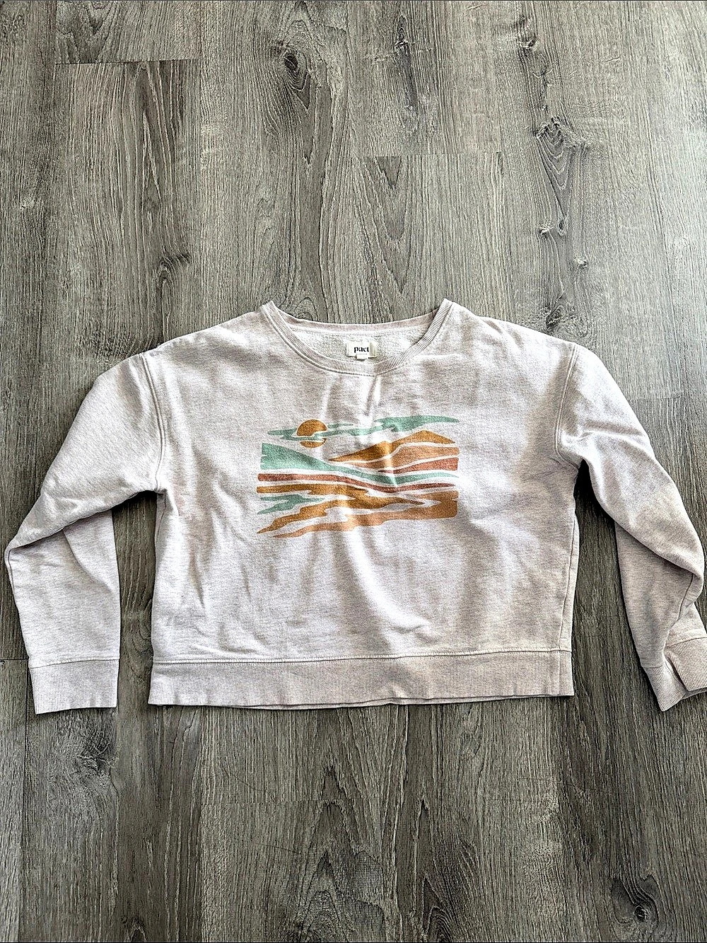 pact Desert Sunset Graphic Crewneck Sweatshirt Gray & Green, Girls Large